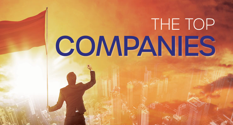 The 2021 MPO Top 30 Medical Device Companies Report